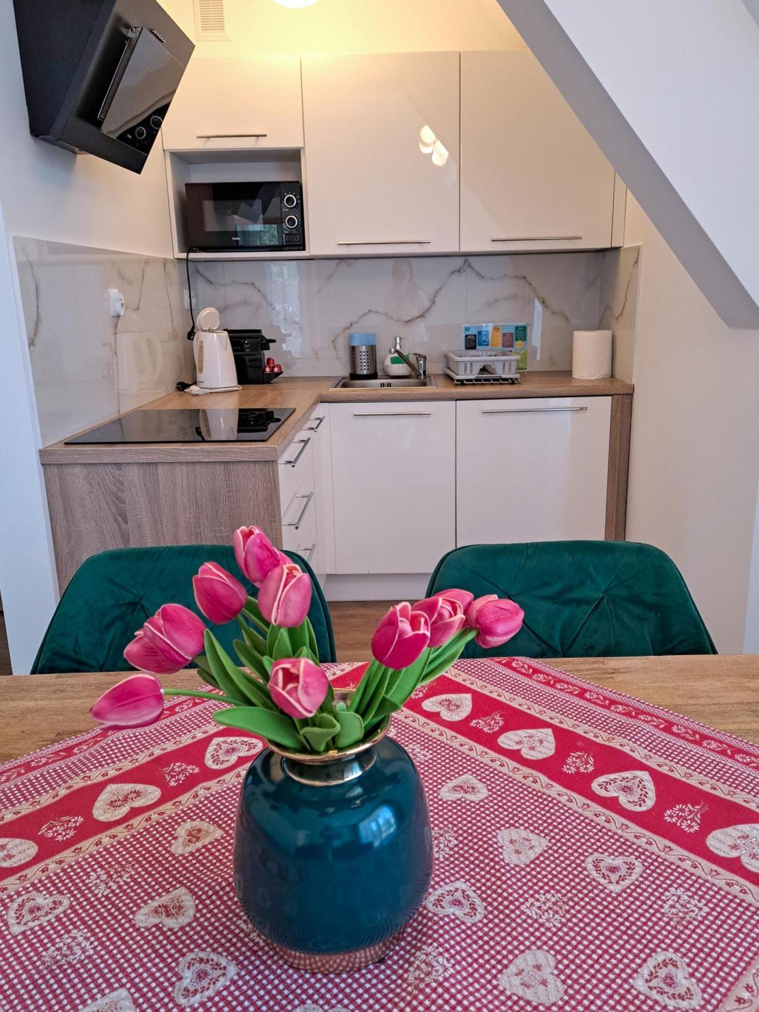 Bory6A Apartamenty & Free Parking Закопане Экстерьер фото